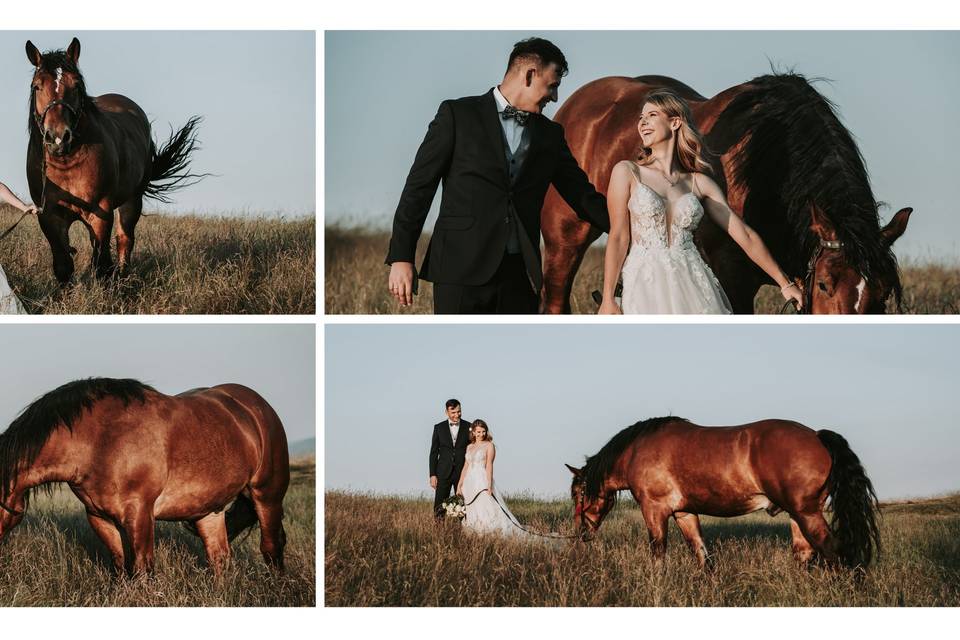 Photoshoot