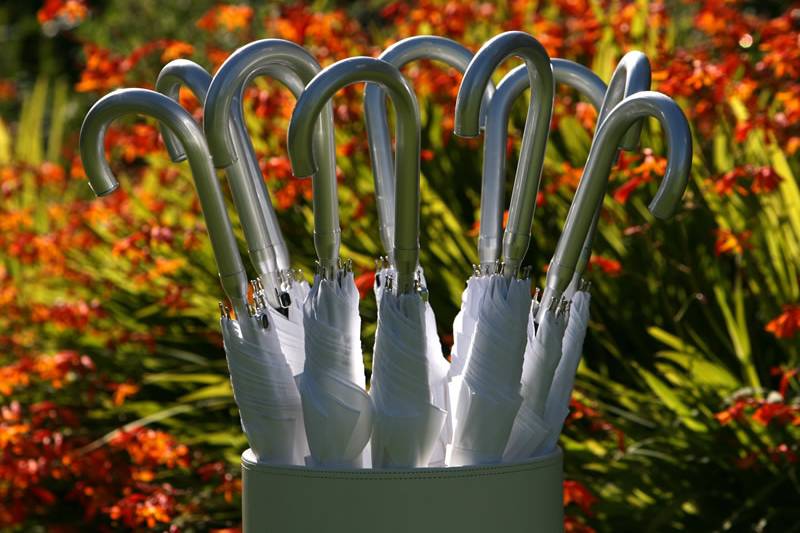 Wedding umbrellas