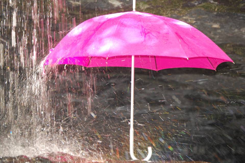 Fantastic Fuschia Brolly