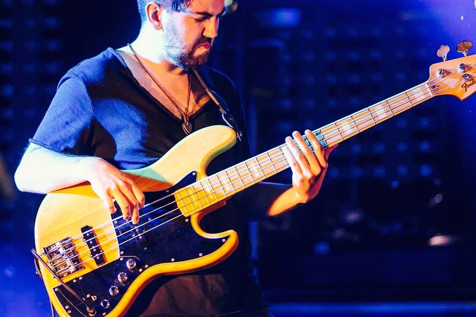 Mr bass face