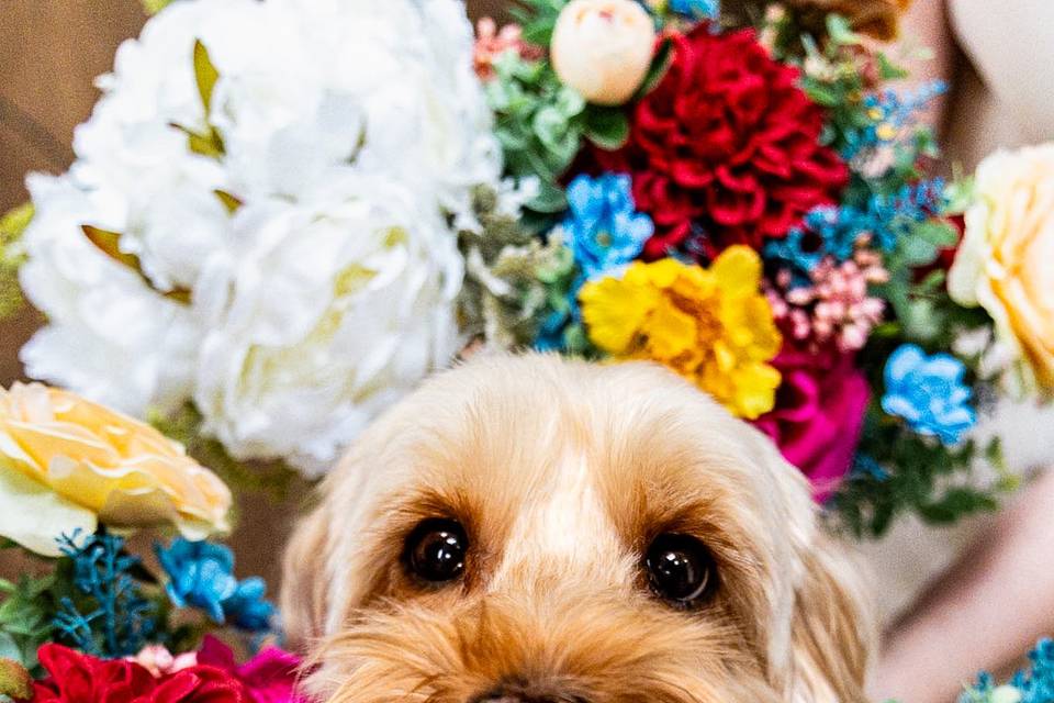 Ring Bearer