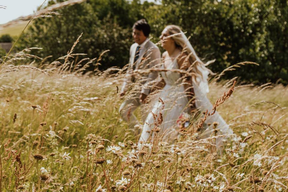 Wild fields of Upwaltham Barns