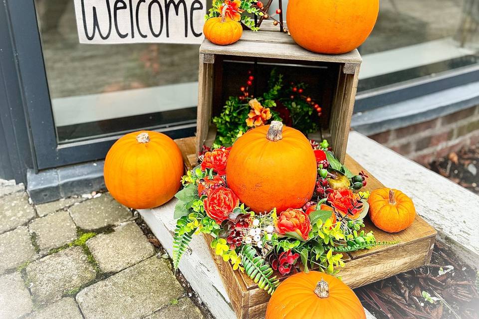 Pumkin welcome