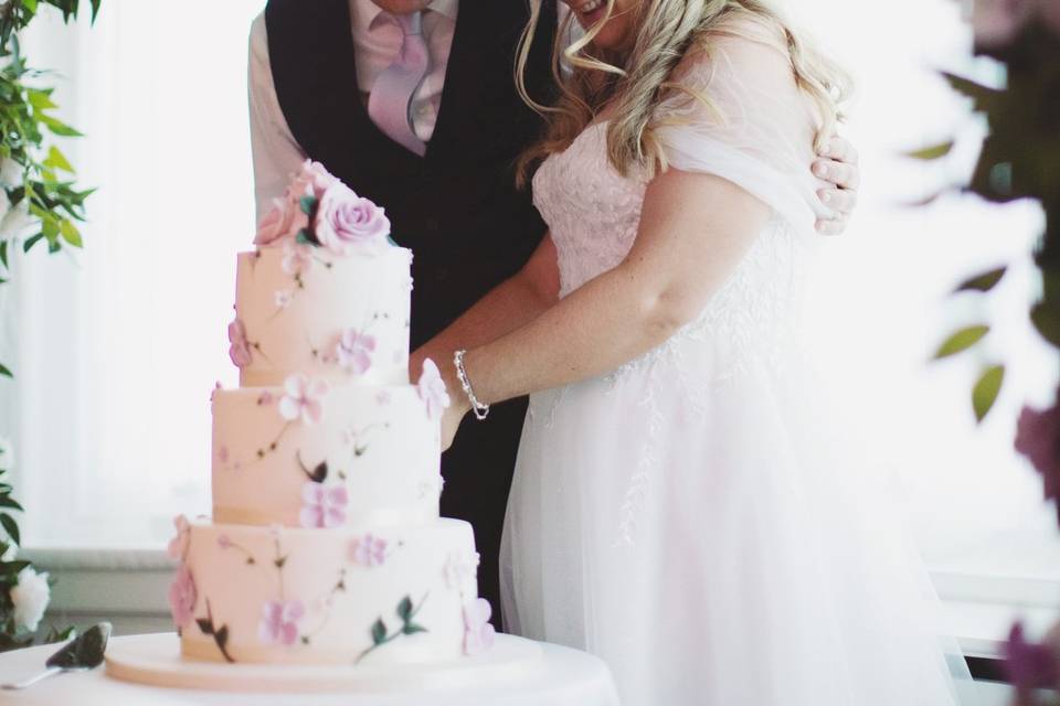 Cake Cutting