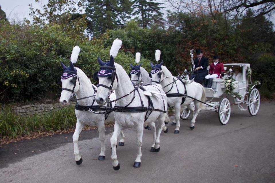 Horse and carriage