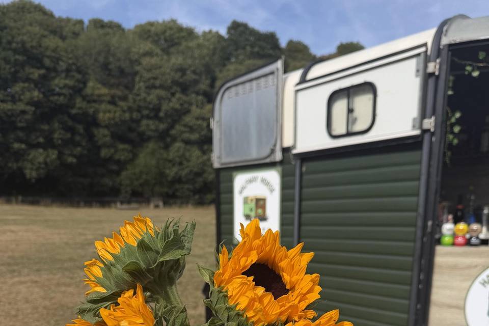 Bar & sunflowers
