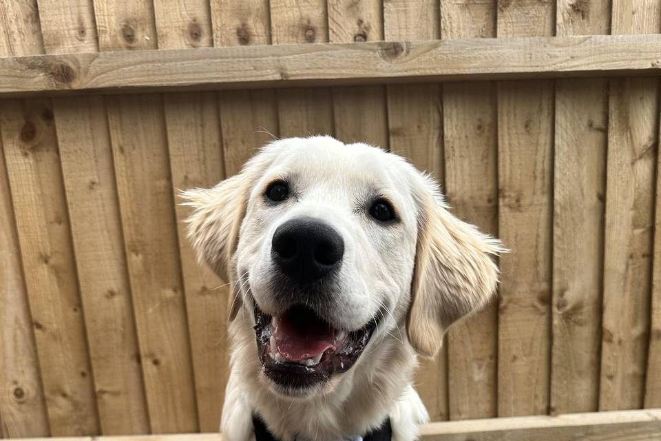 Handsome chap!