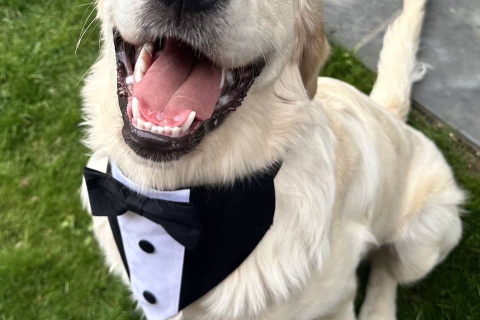 Happy boy for the big day!