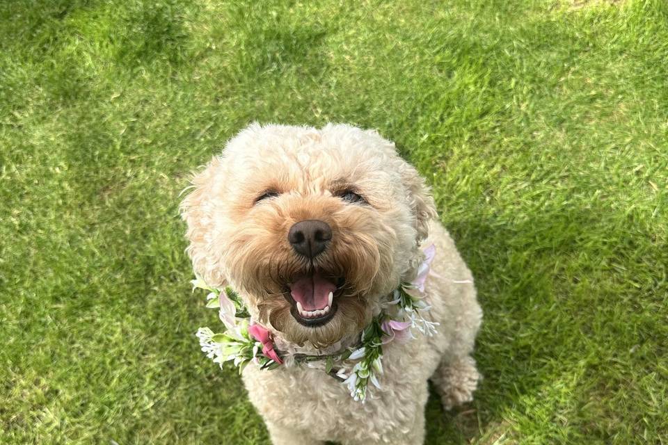 Smiley princess!