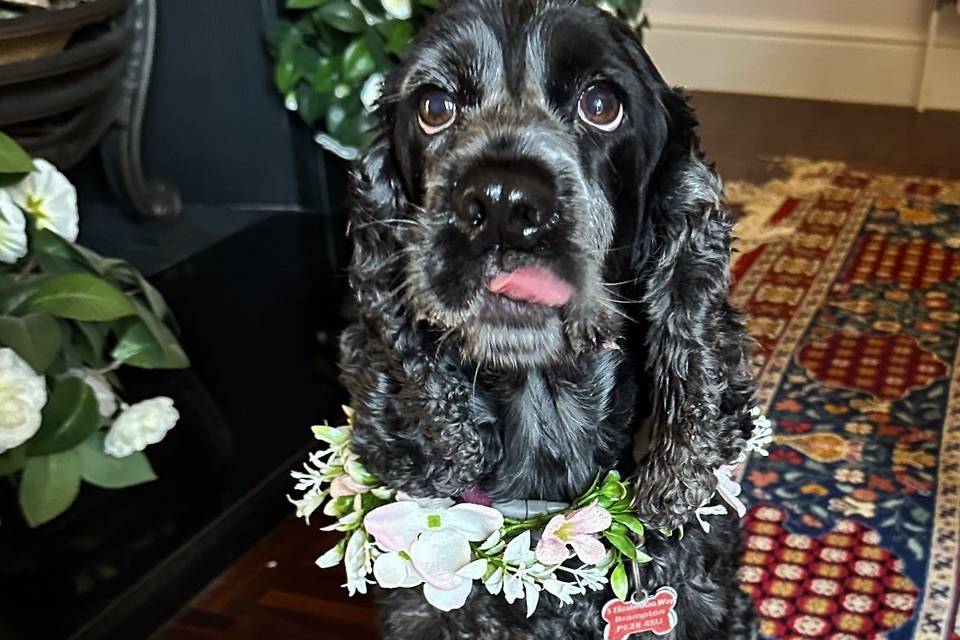 Flower girl
