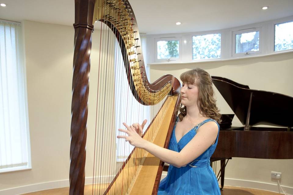 Solo harpist