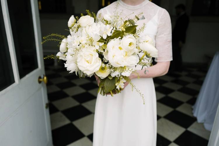 Regal ranunculus