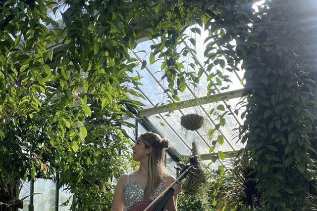 Wedding in Kew Conservatory