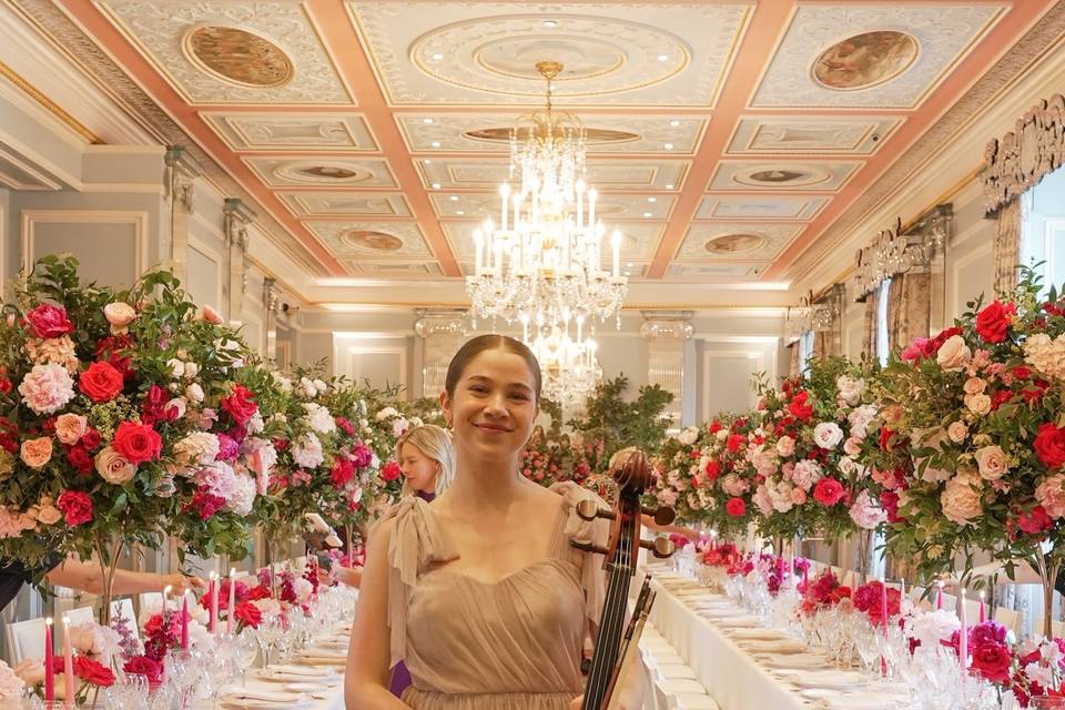 Gi Cello