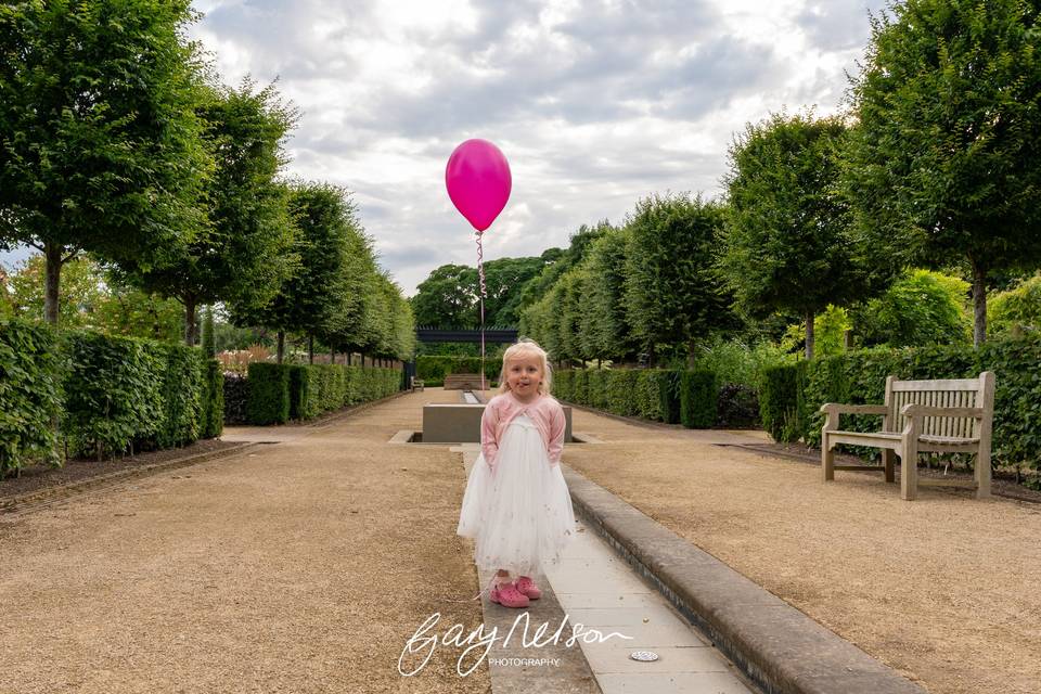 Wedding Balloon