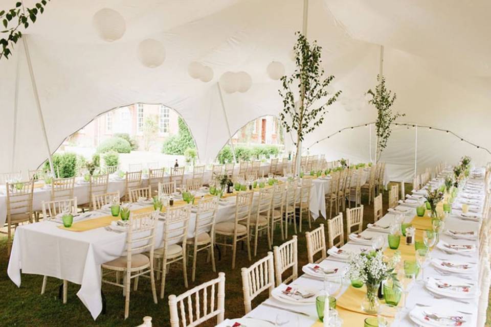 38x28 wedding party