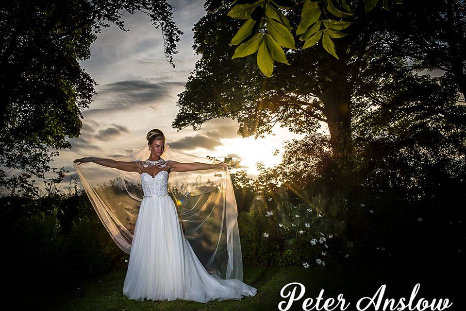 Peter Anslow Photography