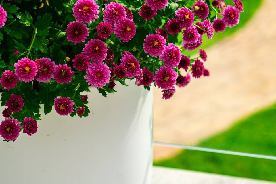 Vibrant wedding flowers