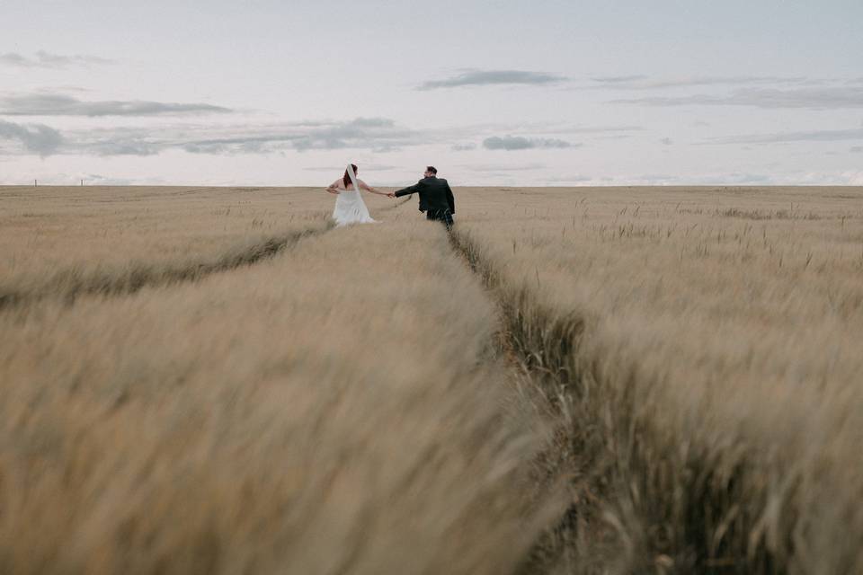Wheat Field walk