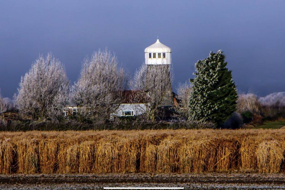 The windmill