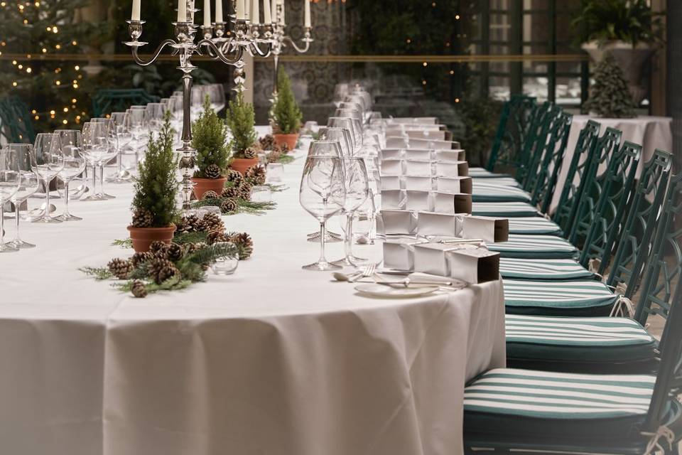 The Conservatory - Christmas