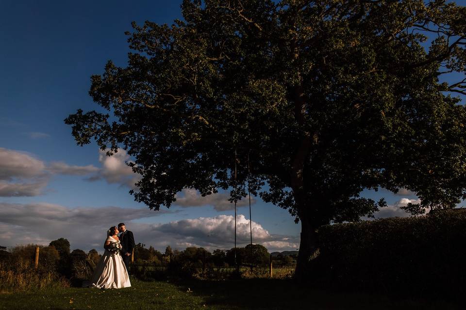 Mighty Oak Tree