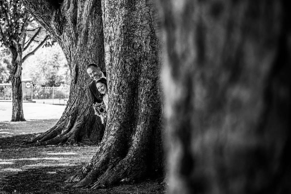 Hiding behind the trees