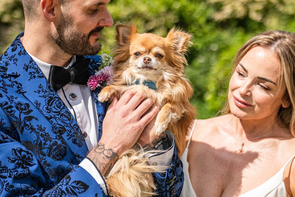 Don't forget the dog