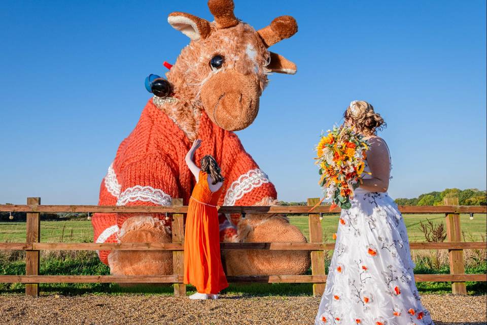 Request for toy enlarged