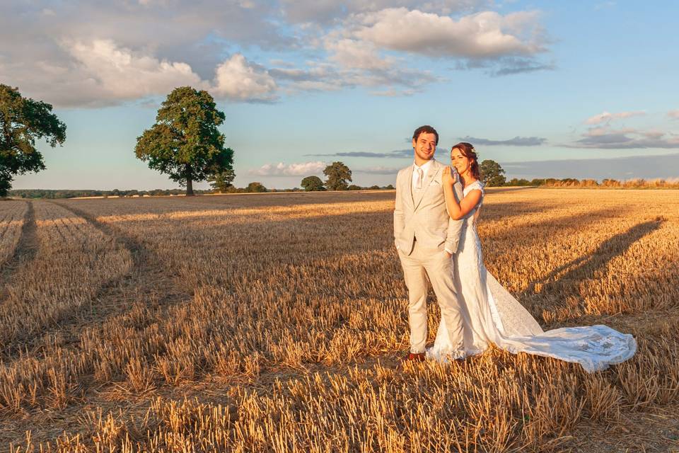 Crop fields look stunning