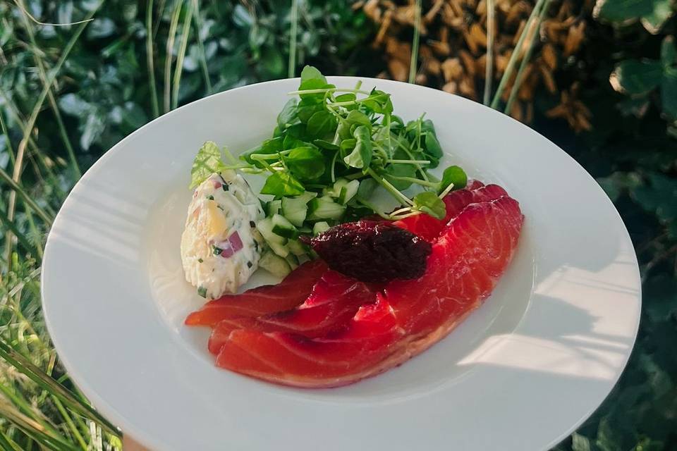 Beetroot & gin cured trout