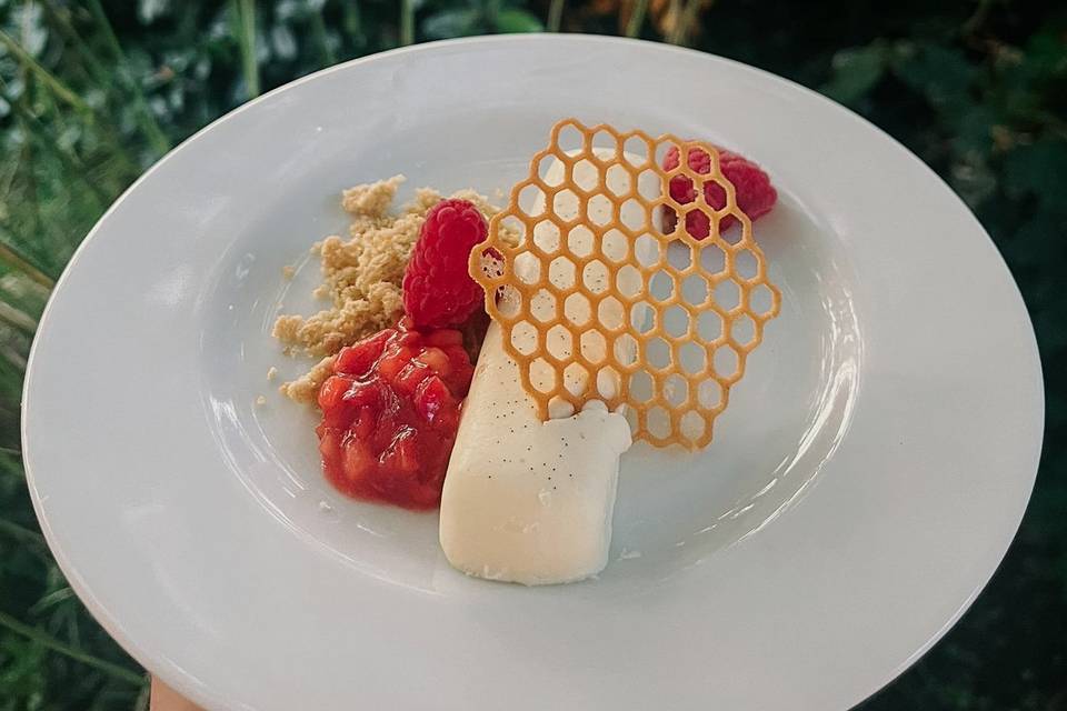 Vanilla panna cotta