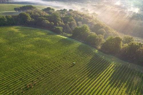 Leonardslee Family Vineyards