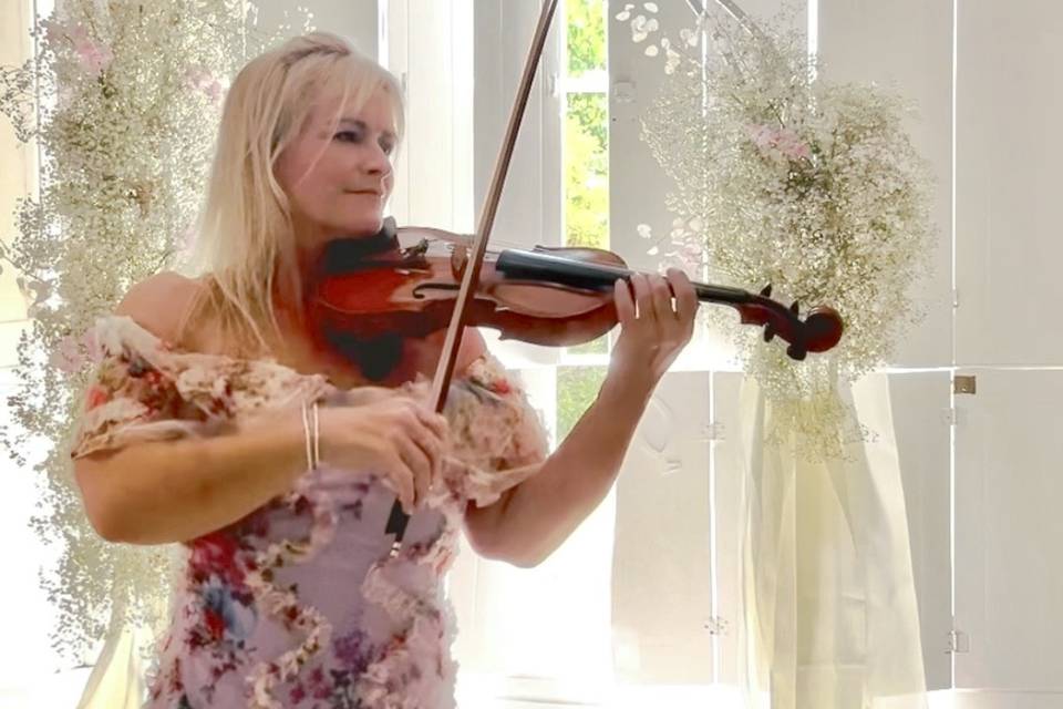 Live Wedding