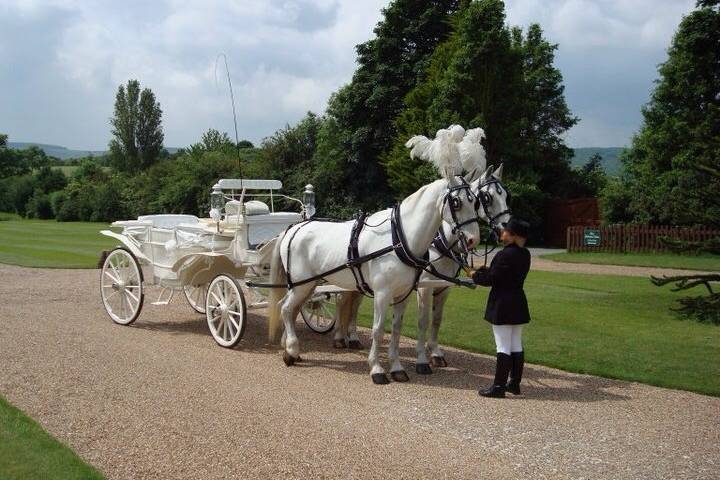 Horse and carriage