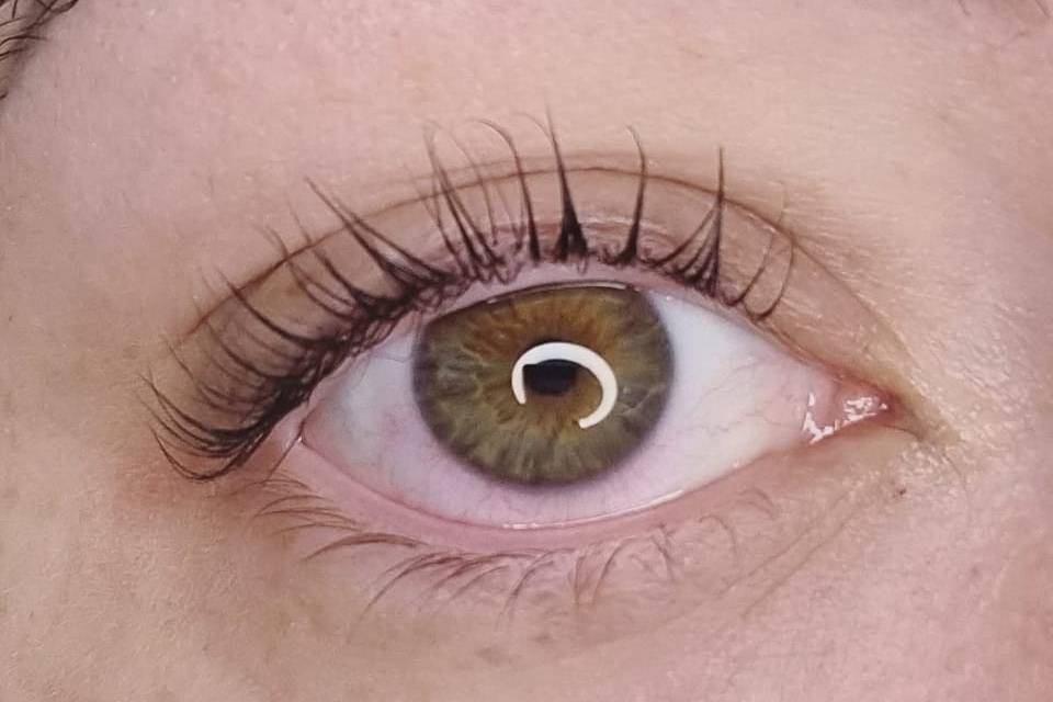 LVL - Lash Lift & Tint.