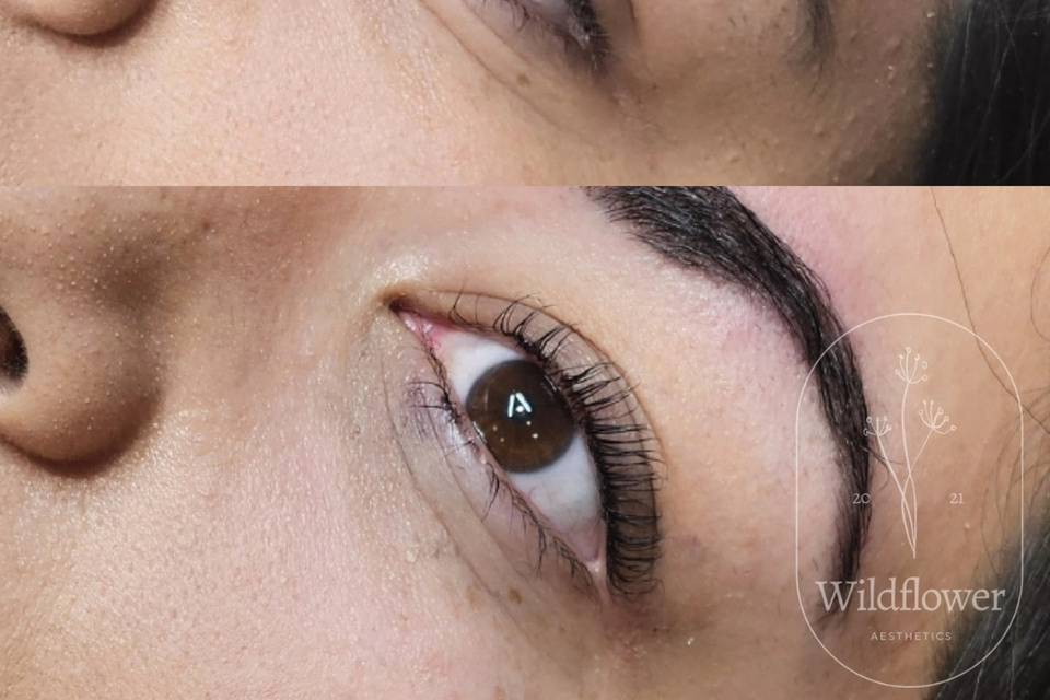 LVL - Lash Lift & Tint.