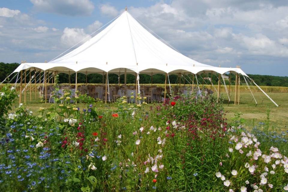 Symposia Marquees