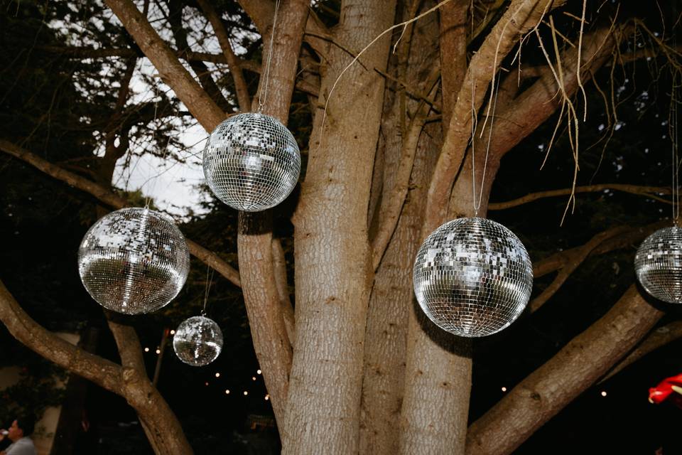 Tree install