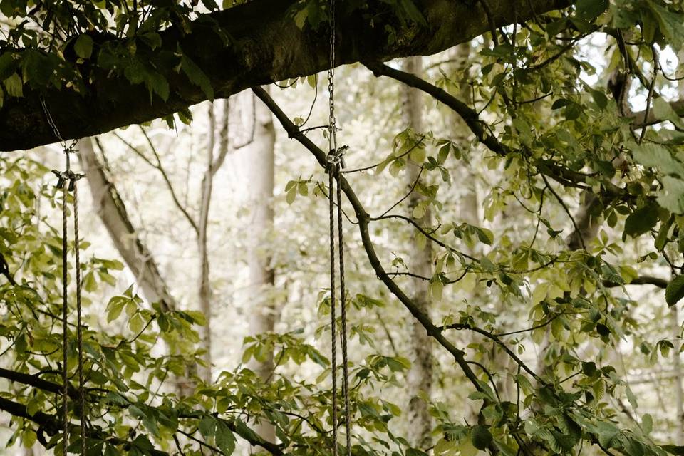 The Woods