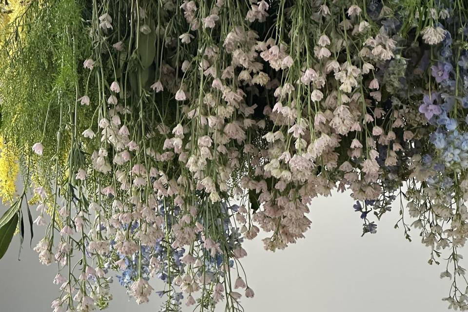 Hanging flowers