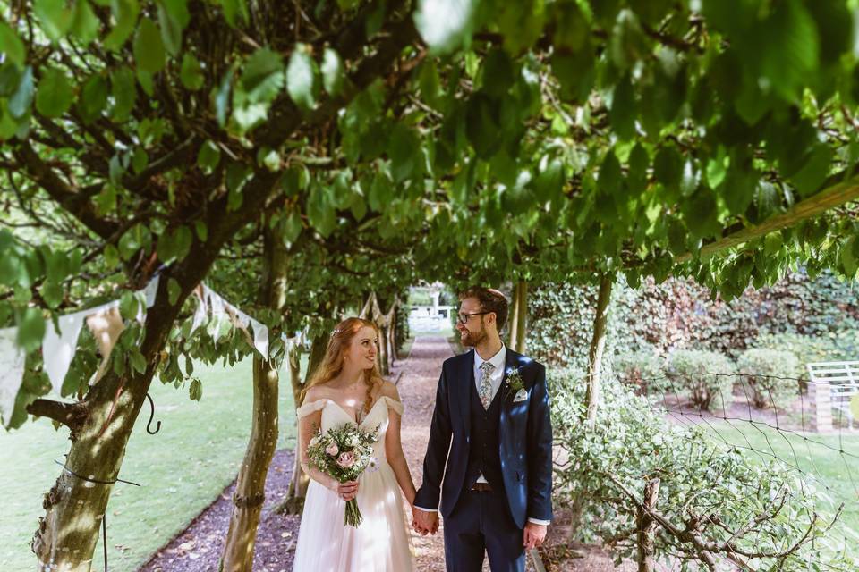 The Tree Arch