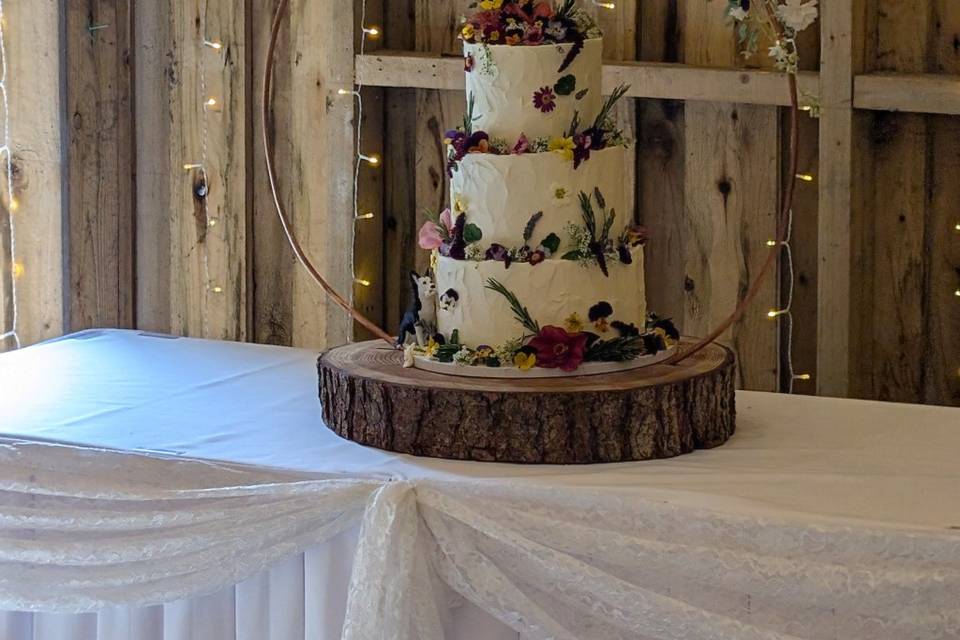 Cake envy