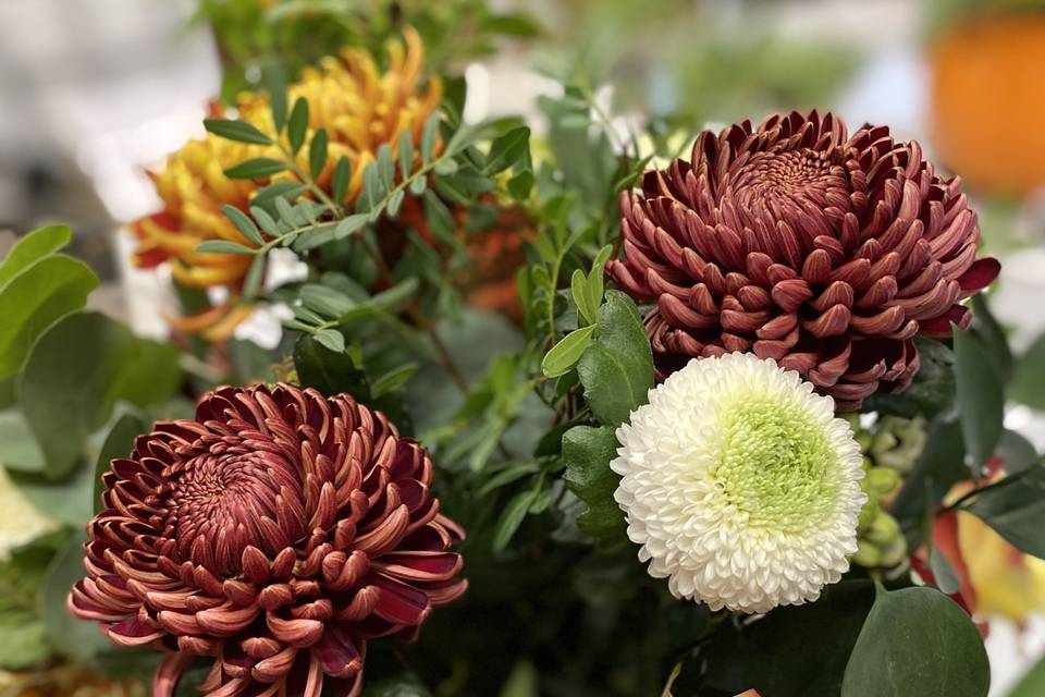 Autumnal bouquets