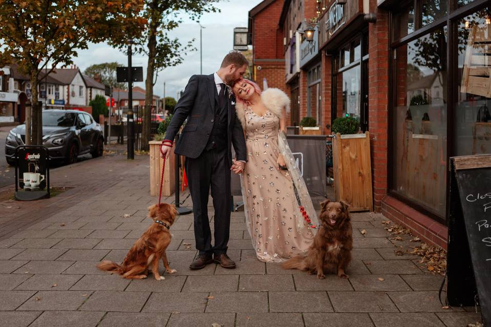Blues Dawg Micro Wedding