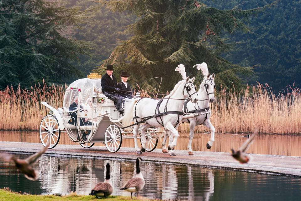 Fairytale carriage