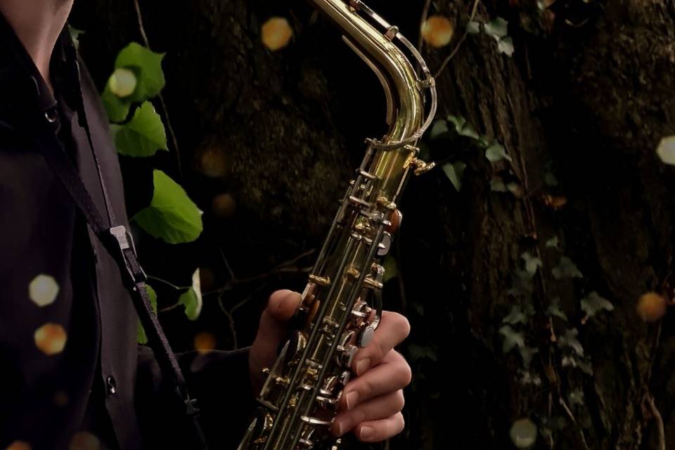 Luke Hilton Saxophonist