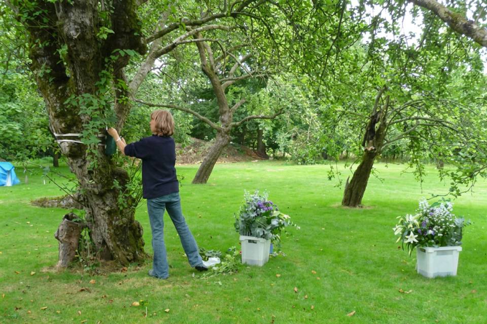 Setting up the garden