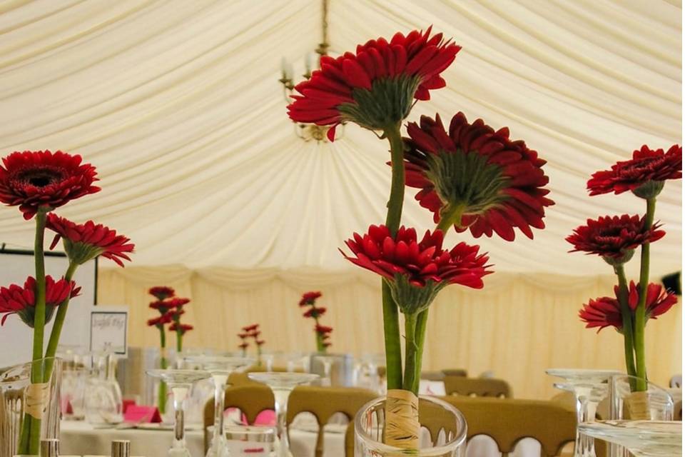 Gerbera bud vases