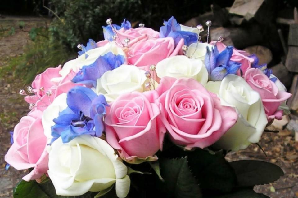 Pinks and blues